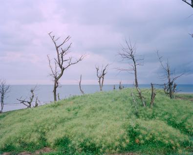 © Liang Chen, China Mainland, Shortlist, Professional competition, Landscape, 2024 Sony World Photography Awards